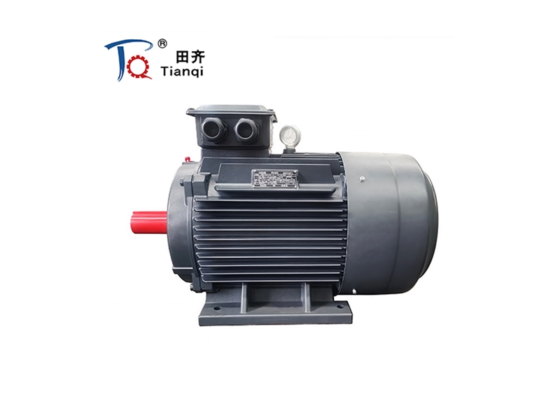Electric Motor